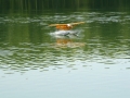 float-fly-20090108
