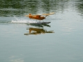 float-fly-20090110