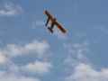 float-fly-20090114