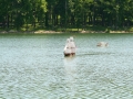 float-fly-20090120