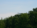 float-fly-20090127