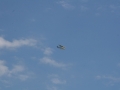 float-fly-20090128