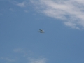float-fly-20090129