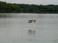 float-fly-20090130