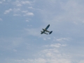 float-fly-20090133