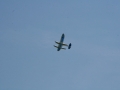float-fly-20090134