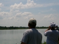 float-fly-20090135