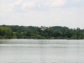 float-fly-20090136