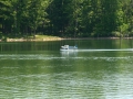 float-fly-20090138