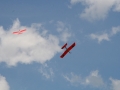 float-fly-20090139