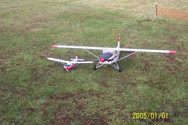 buttfly_2005_005-sized
