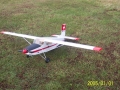 buttfly_2005_002-sized