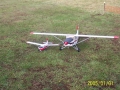buttfly_2005_005-sized