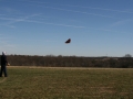 numbthumbs09small0044