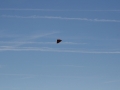 numbthumbs09small0051