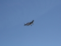 numbthumbs09small0086