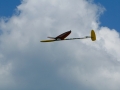 soarfun2009-0062