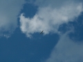 soarfun2009-0078
