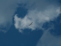 soarfun2009-0079