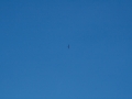 soarfun2009-0080