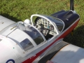 mint-julip-3