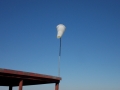 DSCN5653