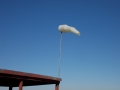 DSCN5654