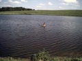 floatfly012