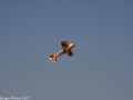 brenharrier2