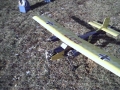 buttfly2002_002