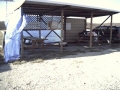 buttfly2002_006