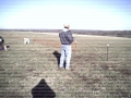 buttfly2002_009