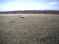 buttfly2002_011