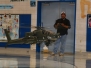 Indoor Flying 2008-2009