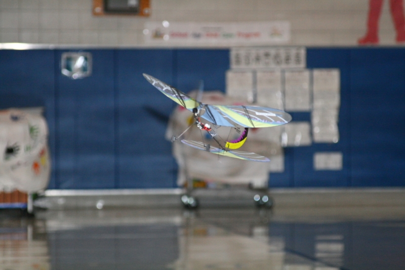 hcrcmgymflying0015