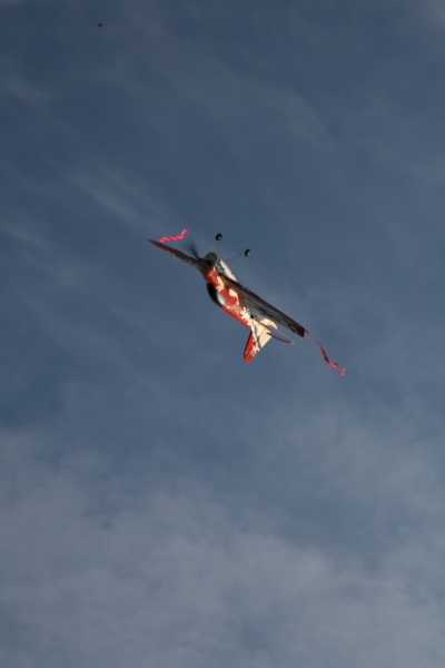 hcrcmgymflying0049