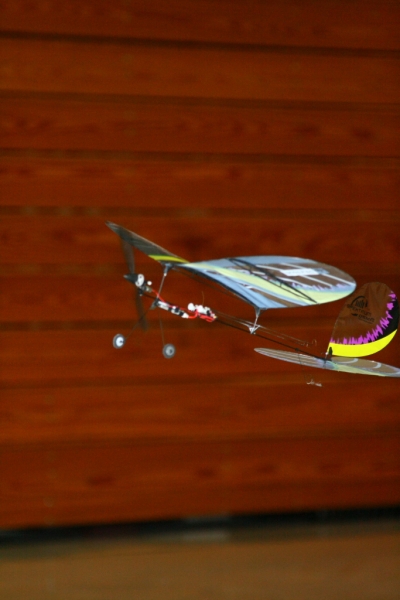 hcrcmgymflying0051
