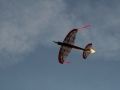 hcrcmgymflying0006