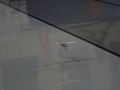 hcrcmgymflying0010