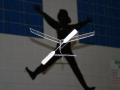 hcrcmgymflying0024