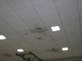 hcrcmgymflying0028