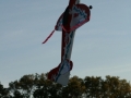 hcrcmgymflying0041