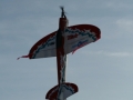 hcrcmgymflying0043