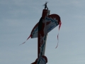 hcrcmgymflying0044