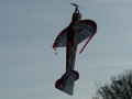 hcrcmgymflying0045