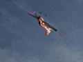 hcrcmgymflying0049