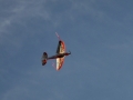 hcrcmgymflying0050