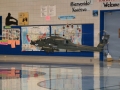 wayneapachegym015