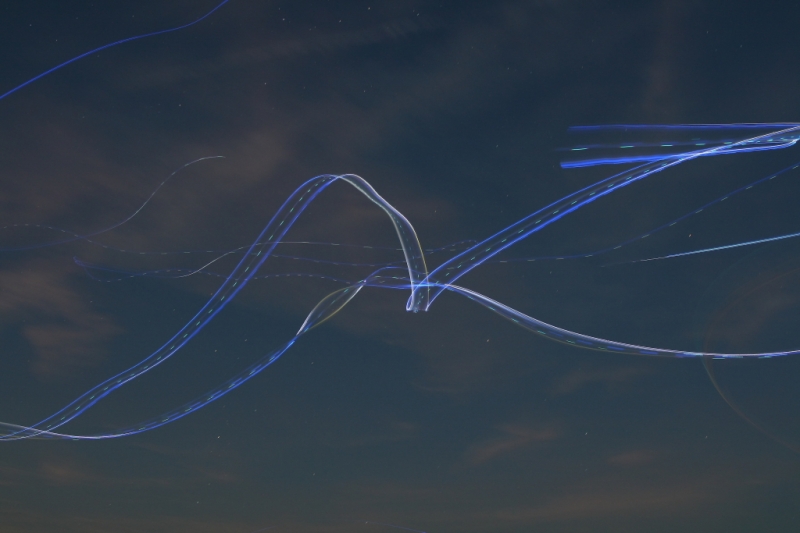 hcrcmnitefly080013
