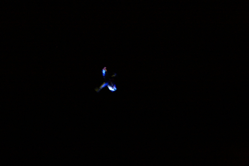 hcrcmnitefly080019